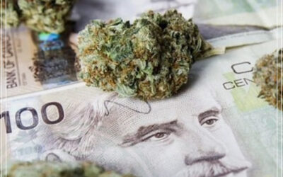 Canadá vendeu mais de US $ 100 milhões de maconha legal em fevereiro