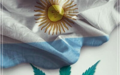 63% dos argentinos são a favor da legalização da maconha