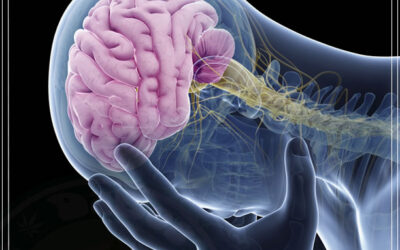 A maconha impede a neuroinflamação, diz estudo