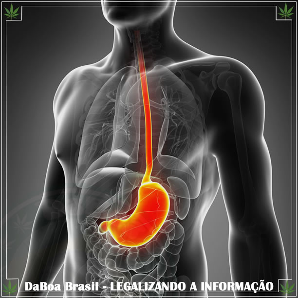 A maconha pode ajudar com vômitos e dores da gastroparesia