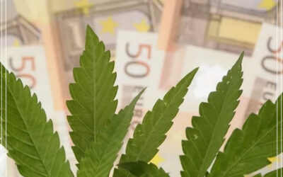 A maconha sobe nas bolsas de valores europeias