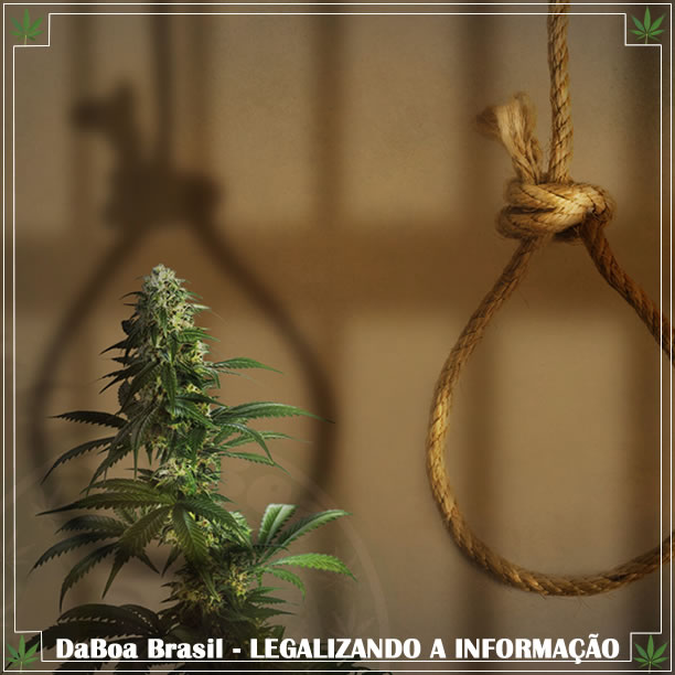 Abolição da pena de morte, especialmente por delitos com maconha na Malásia