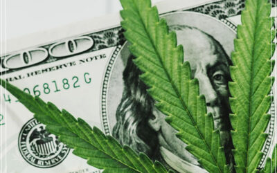 Arkansas vendeu US $ 40 milhões em maconha em 10 meses