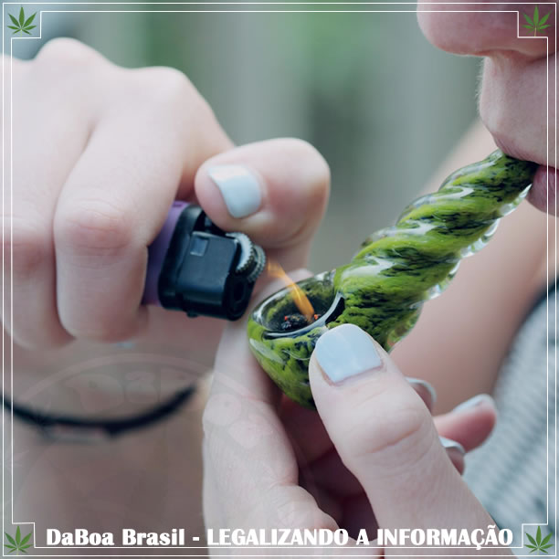 As pessoas usam maconha recreativa como medicinal, diz estudo