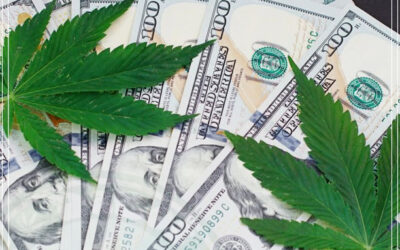 Califórnia ultrapassa US $ 1 bilhão em arrecadação por impostos da maconha