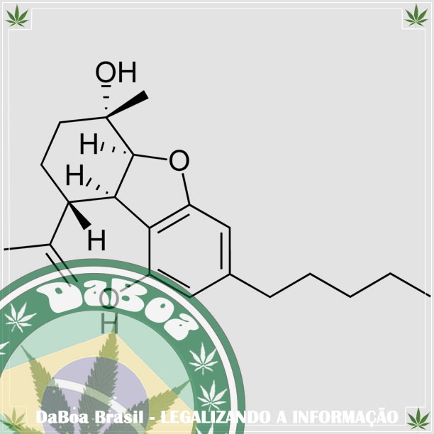 Cannabielsoin ou CBE, irmão mais novo do canabidiol ou CBD