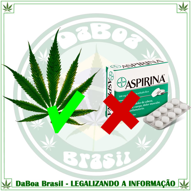 A maconha é mais segura e eficaz que a aspirina?