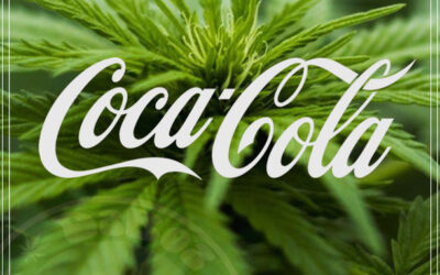 Coca-Cola considera entrar no mercado da maconha