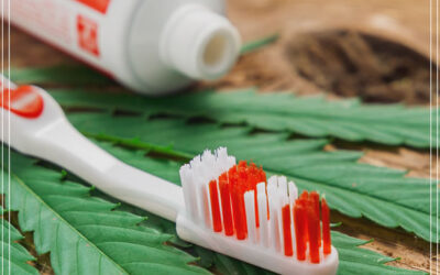 Colgate compra empresa que produz pasta de dentes com CBD