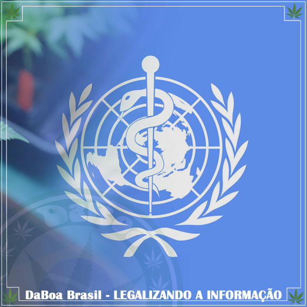 Comissão da ONU pede a legalização da maconha