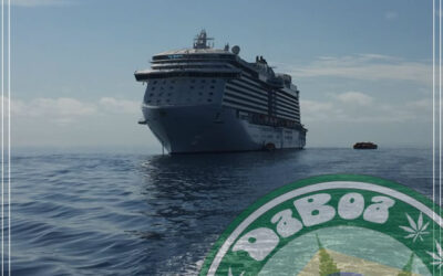 Primeiro Cruzeiro da Maconha pelo Caribe, com parada no local de nascimento do Bob Marley