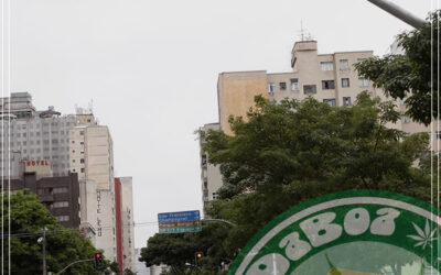 Curitiba tem trânsito adaptado para usuários de maconha