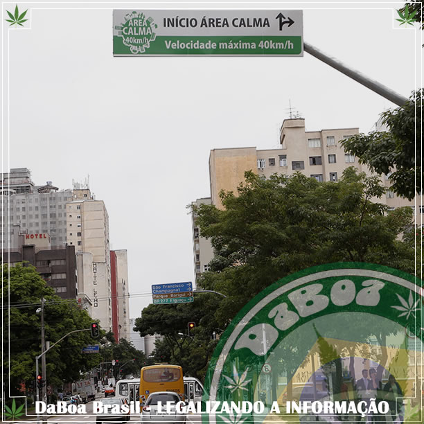 Curitiba tem trânsito adaptado para usuários de maconha