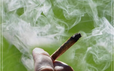 Estadunidenses fumam quase mais maconha que cigarros