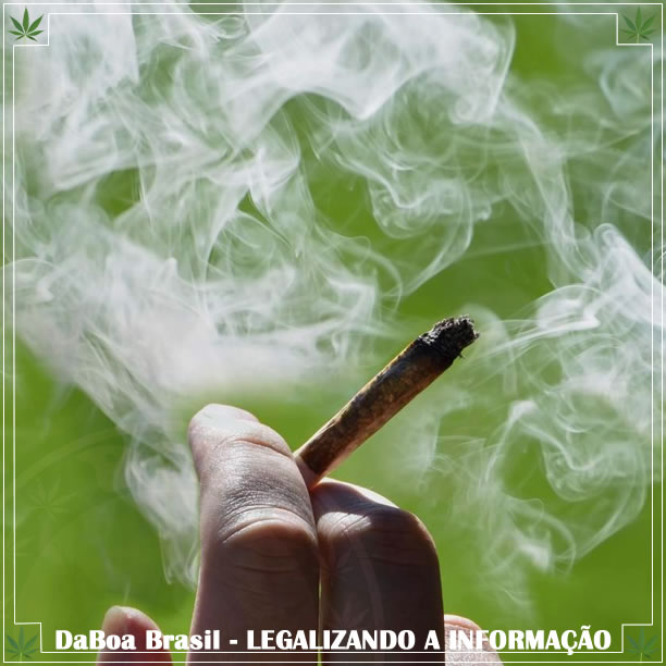 Estadunidenses fumam quase mais maconha que cigarros