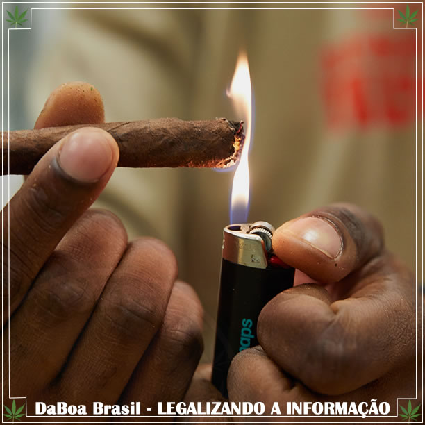 Estudo garante que a idade ideal para o uso legal de maconha é aos 19 anos