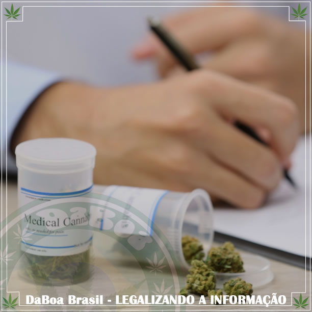 Estudo mostra que as pessoas preferem maconha medicinal a outros medicamentos