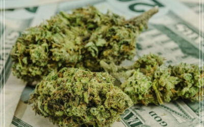 Illinois vende quase US $ 20 milhões em maconha nos primeiros 12 dias