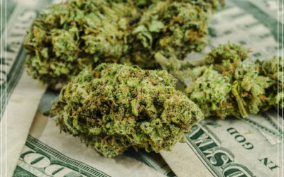 Illinois vendeu US $ 3,2 milhões em maconha em seu primeiro dia