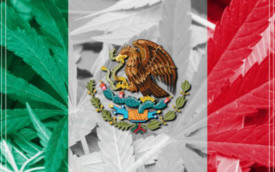 Legalização da maconha no México será em abril de 2020