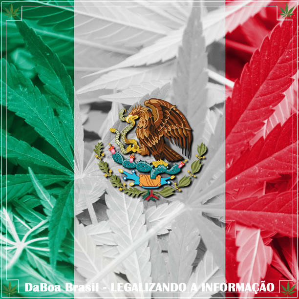 Legalização da maconha no México será em abril de 2020