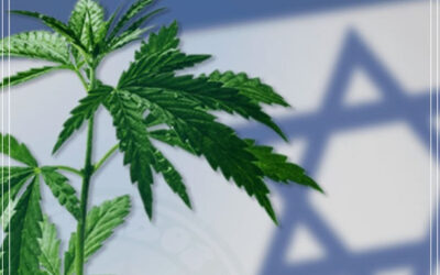 Lei para descriminalizar a maconha em Israel passa pelo primeiro obstáculo