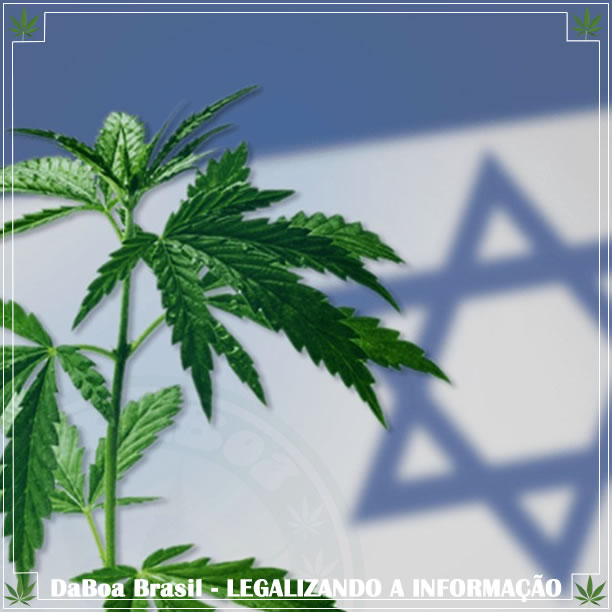 Lei para descriminalizar a maconha em Israel passa pelo primeiro obstáculo