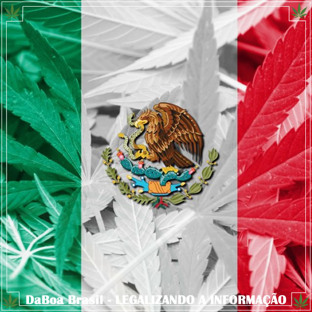 México abre as portas para a legalização