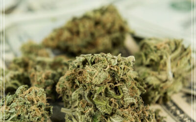 Michigan vendeu US $ 3 milhões em maconha legal nas duas primeiras semanas