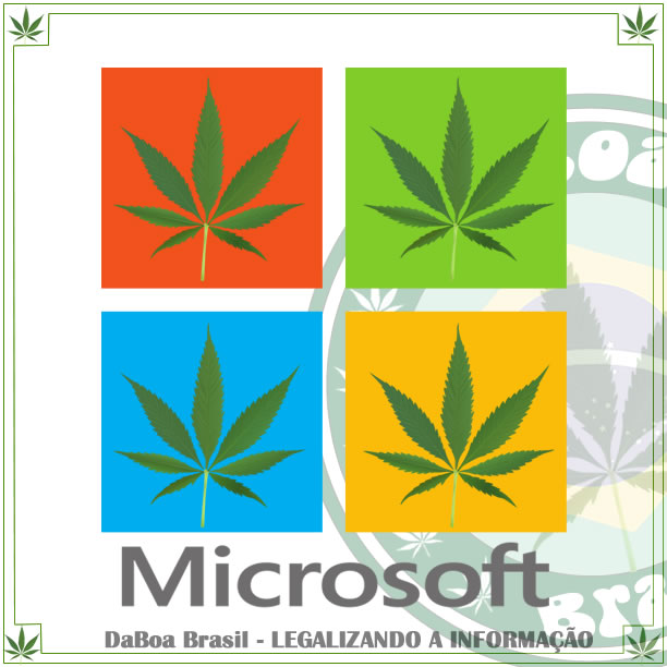 Microsoft é a primeira grande empresa a investir em Maconha