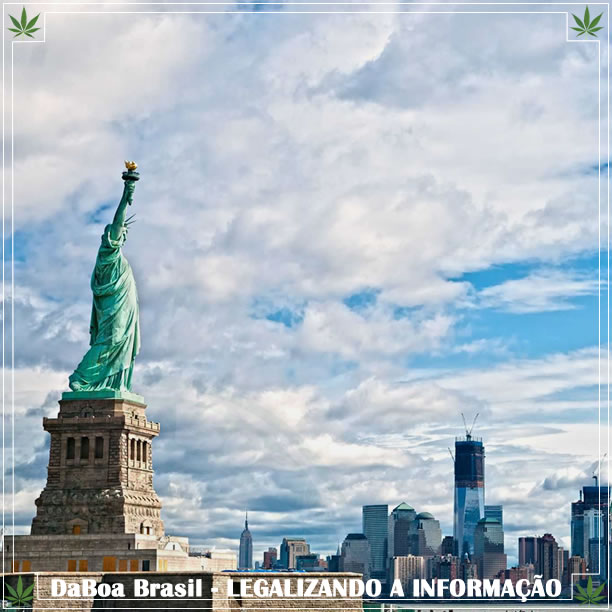 Nova York proibirá teste de maconha para candidatos de empregos