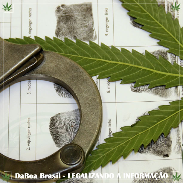 Novo estudo desmente relação entre maconha e aumento de crimes