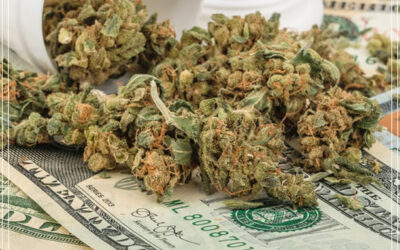 O mercado mundial da maconha será de US $ 130 bilhões em 2029