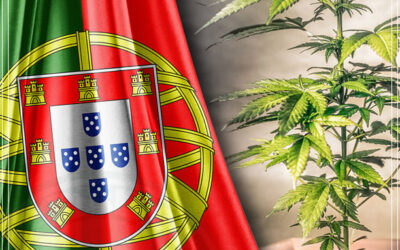 O uso de maconha medicinal já é legal em Portugal