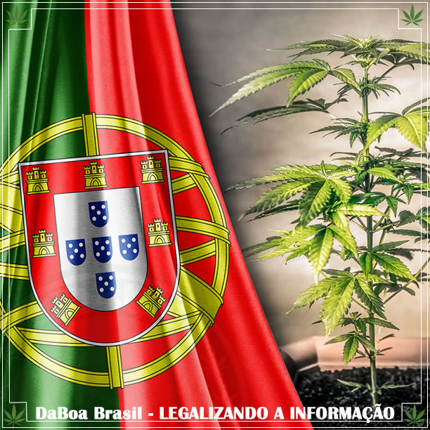 O uso de maconha medicinal já é legal em Portugal