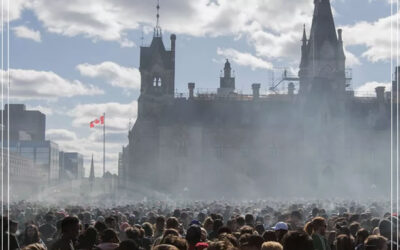 Uso de maconha aumentou no Canadá, segundo a ONU