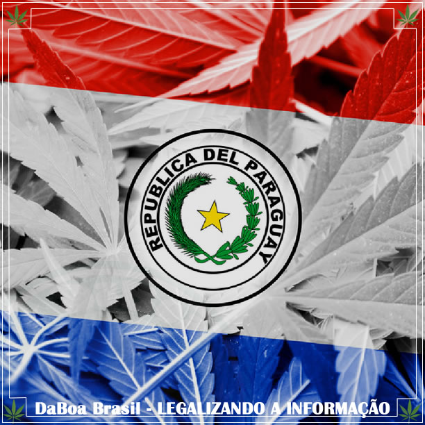 Paraguai anuncia cultivo controlado de maconha