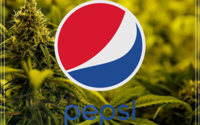 Pepsi segue Coca-Cola explorando as bebidas de maconha