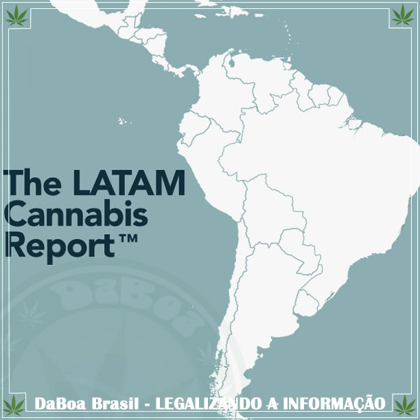 Relatório prevê US$ 13 bilhões no mercado latino-americano da maconha até 2028