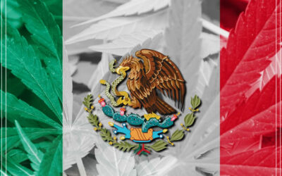 Senado do México dá um passo para legalizar o uso recreativo