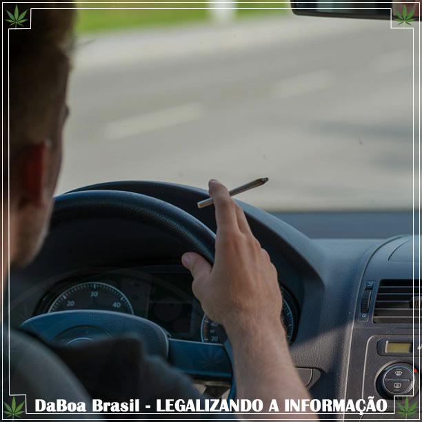 THC não está associado à culpabilidade por acidentes automobilísticos