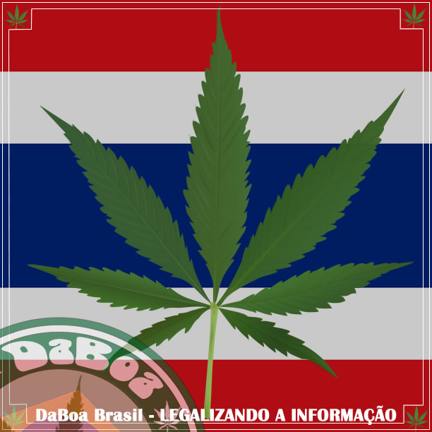 Tailândia visa à descriminalização da maconha