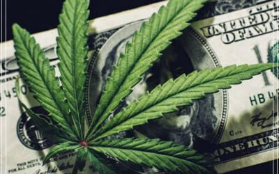 Vendas de maconha em Massachusetts atingem US $ 393 milhões