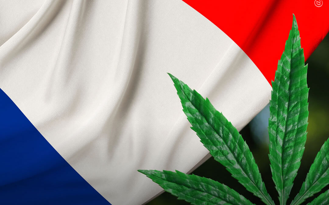 Comitê na França pressiona pela legalização da maconha