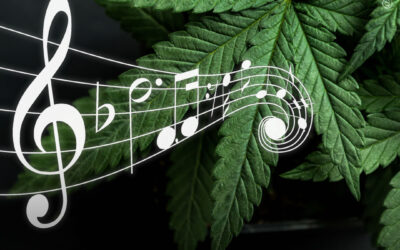 Dicas de cultivo: a música estimula as plantas de maconha?