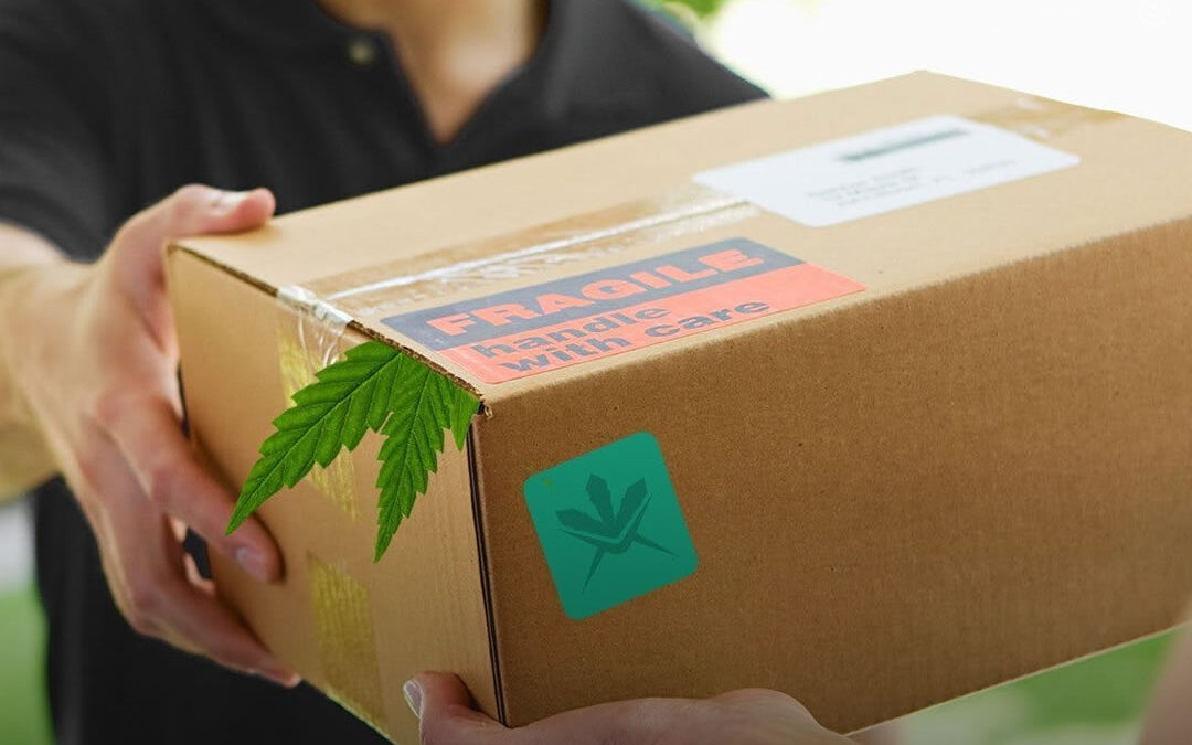 Massachusetts permitirá delivery de maconha aos varejistas