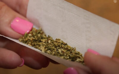 As mulheres são mais sensíveis à maconha, diz estudo