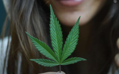 Novo estudo sobre maconha para tratar problemas da menopausa