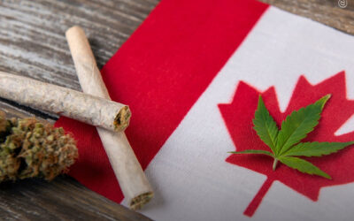 Província no Canadá reduz o preço da maconha para competir com o mercado ilegal