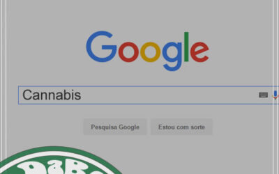 Buscas no Google por ‘Cannabis’ aumentaram devido às novas leis da maconha em estados dos EUA